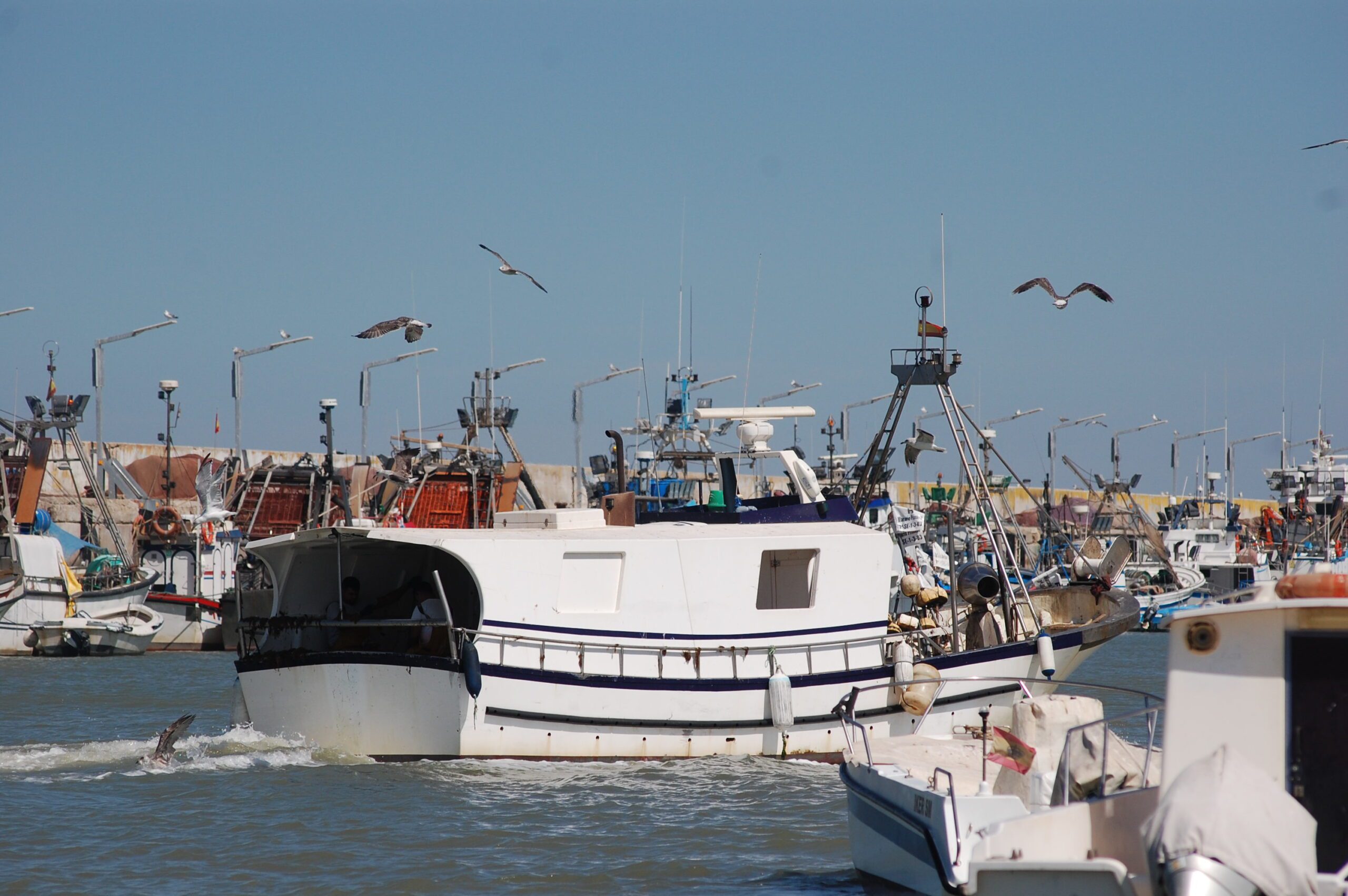 La Junta inicia el trámite ambiental para la ampliación al norte y la nueva pasarela del Puerto de Bonanza