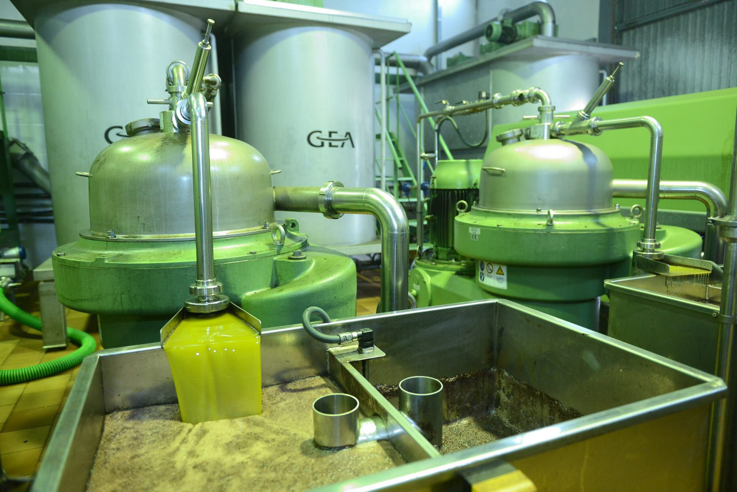 Récord histórico de exportaciones de aceite de oliva en 2024, con 4.570 millones y un alza del 39%