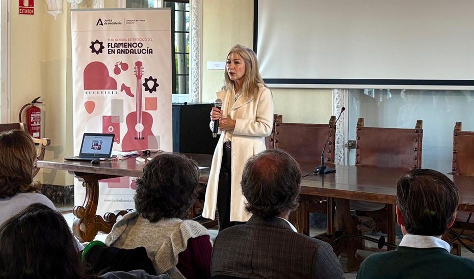 El Plan Estratégico del Flamenco recibe más de medio millar de aportaciones de casi 250 agentes del sector