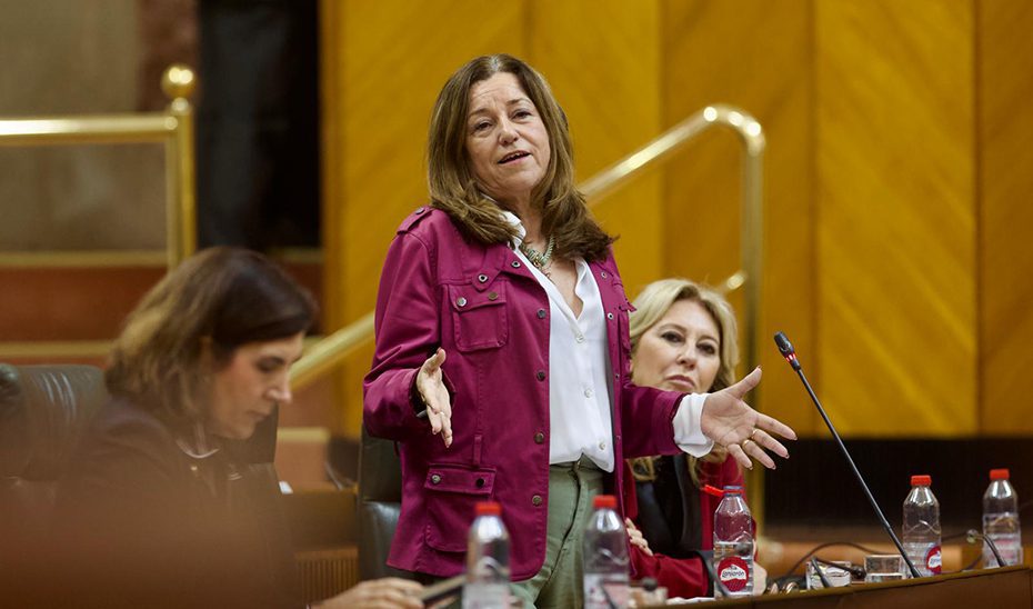 El sistema educativo cuenta con 510 aulas más desde 2018, a pesar del descenso de la natalidad