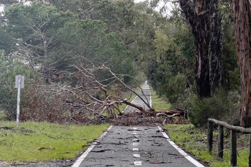 Coordinadas casi medio centenar de incidencias a causa de la lluvia en las últimas horas en Andalucía