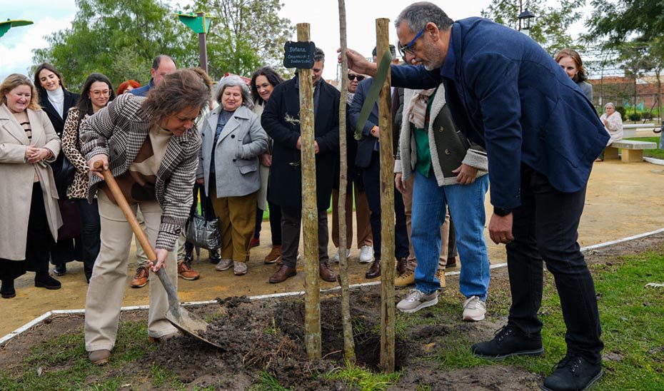 Impulso a la selvicultura y la repoblación forestal con más de tres millones de árboles plantados desde 2019