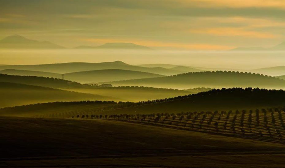 Convocada la XXIX edición de los Premios Andalucía de Medio Ambiente