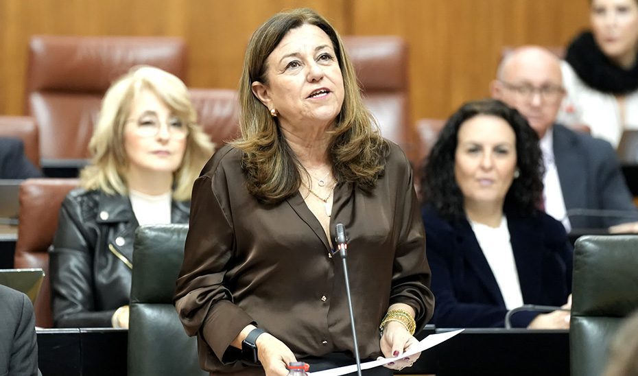 1742473270892CastilloPleno_Est.jpg Las obras del IES Lola Flores de Jerez comenzarán antes de final de año con tres millones de dotación