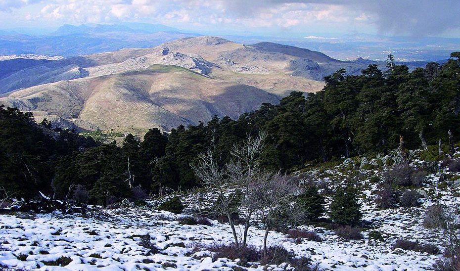 La Junta invierte cerca de 18,5 millones en el Parque Nacional Sierra de las Nieves desde 2021