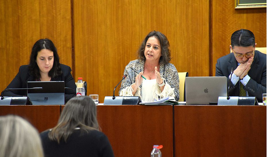 Andalucía moviliza en tres años 102 millones en subvenciones para el tratamiento de residuos