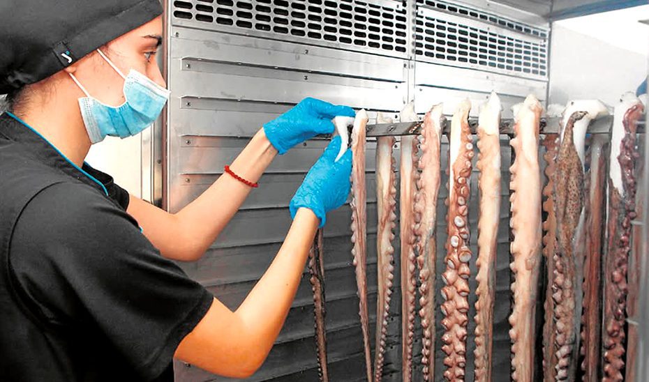 La Especialidad Tradicional Garantizada ‘Pulpo Seco de Adra’ tendrá reconocimiento europeo este verano