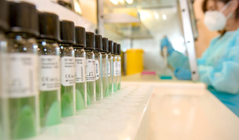 Dos nuevos casos de sarampión elevan a 49 el cómputo total en Andalucía y a seis los brotes activos