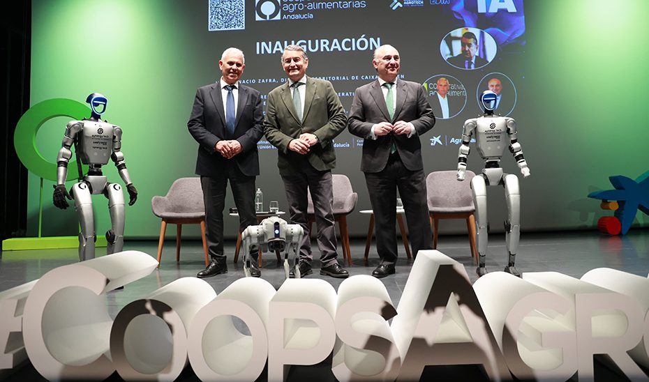 El Consejo de Gobierno aprobará la primera Estrategia Cloud de Andalucía 2030