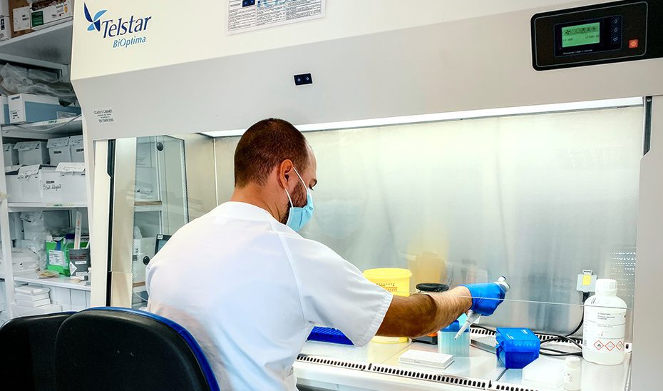 Salud incorpora el laboratorio del Virgen del Rocío al análisis de las muestras de virus del Nilo