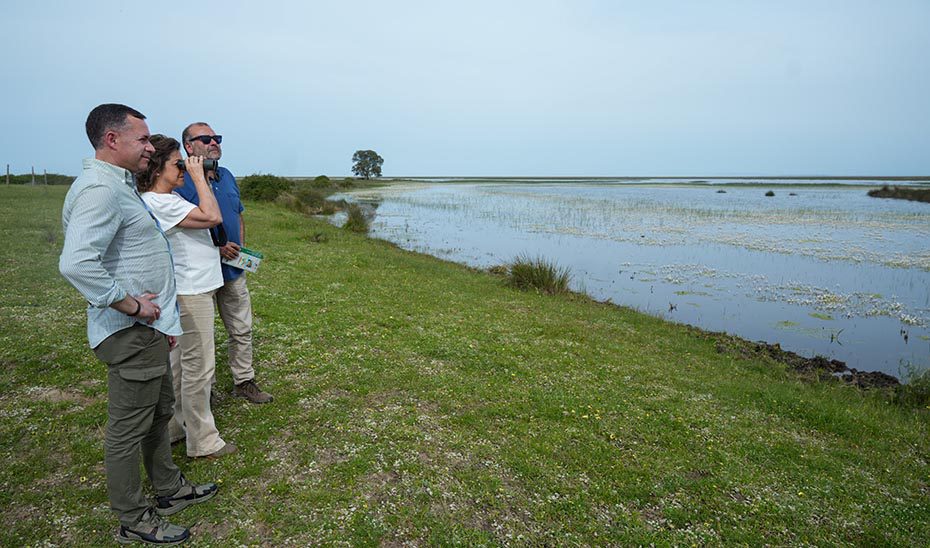 Las lluvias excepcionales de marzo devuelven el esplendor a las marismas de Doñana