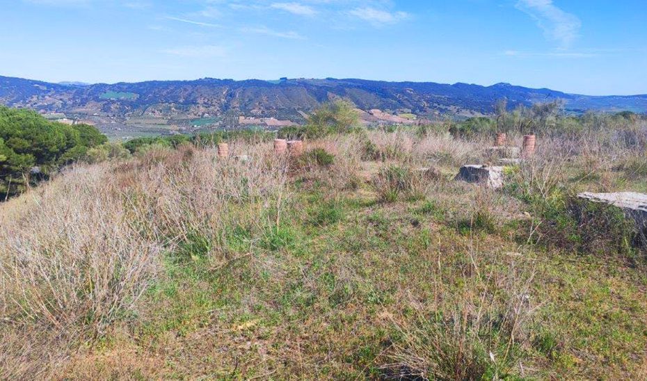 La Junta avanza en el desarrollo de suelos en Lagar de Oliveros para la construcción de 2.806 viviendas