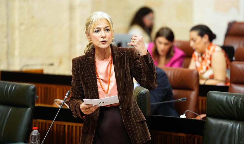 La aportación de la Junta al Circuito Andaluz de Peñas crece hasta los 250.000 euros