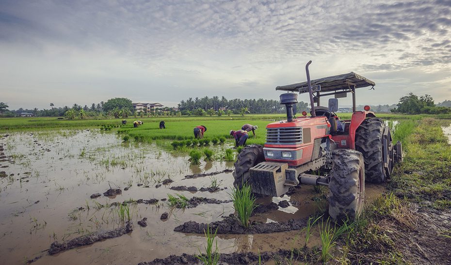 Agricultura solicita la ampliación del plazo de presentación de la Solicitud Única 2025 y pide flexibilización en la PAC