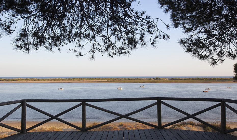 La Junta declara nuevas zonas especiales de conservación en el litoral de Huelva