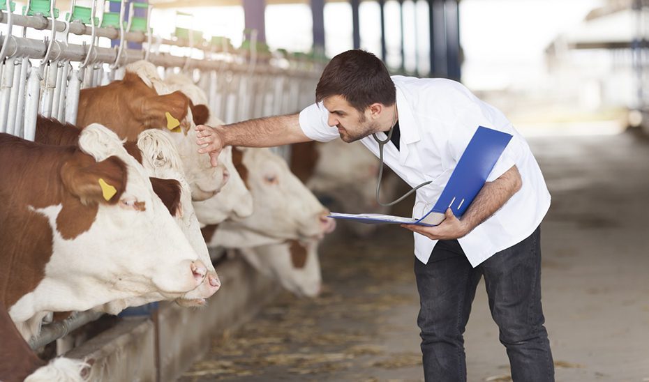 La Junta respalda la labor de las Agrupaciones de Defensa Sanitaria Ganadera con 6,8 millones en ayudas