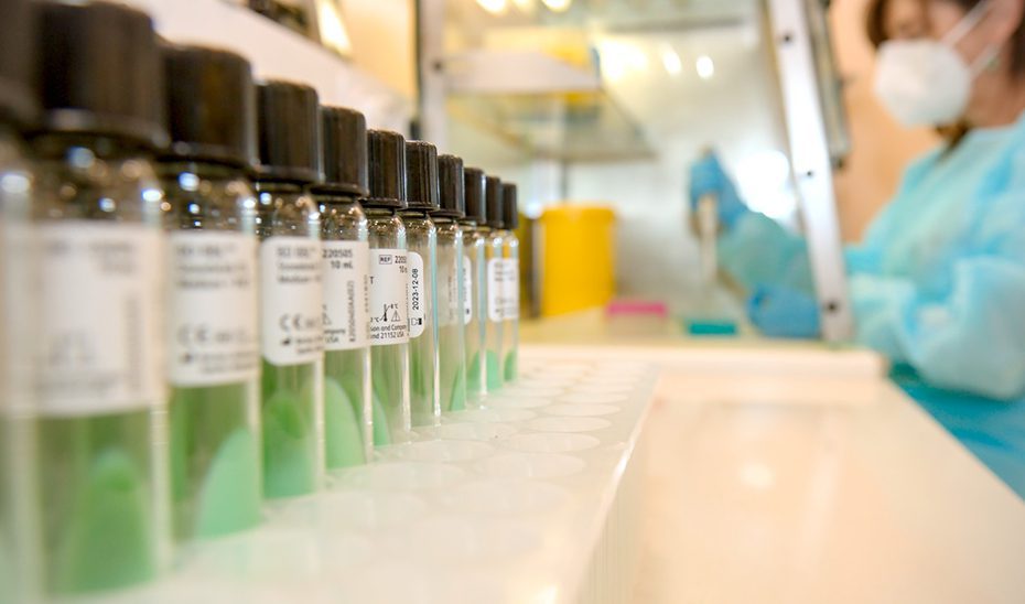 El SAS habilita un depósito de la triple vírica en cada provincia para reforzar la vacunación ante el sarampión