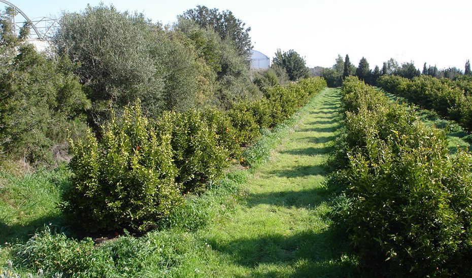 Aprobado el Proyecto de Ley para impulsar la producción ecológica e integrada de alimentos