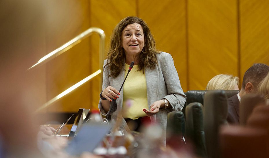 El colegio ‘Los Argonautas’ de Chipiona contará con un nuevo edificio destinado a Primaria