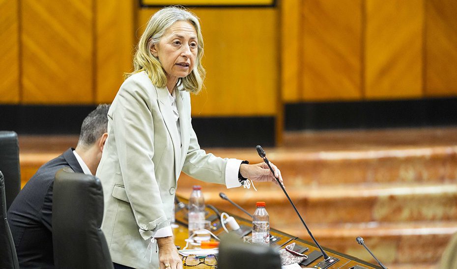 El número de trabajadores fijos en el SAS ha aumentado un 64% desde 2018