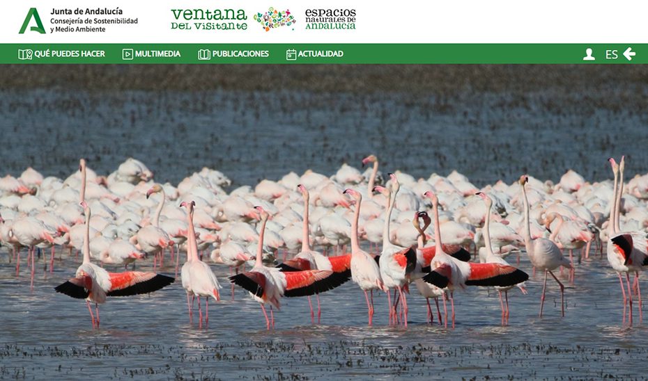 El acceso digital a la sostenibilidad y el medio ambiente crece en Andalucía