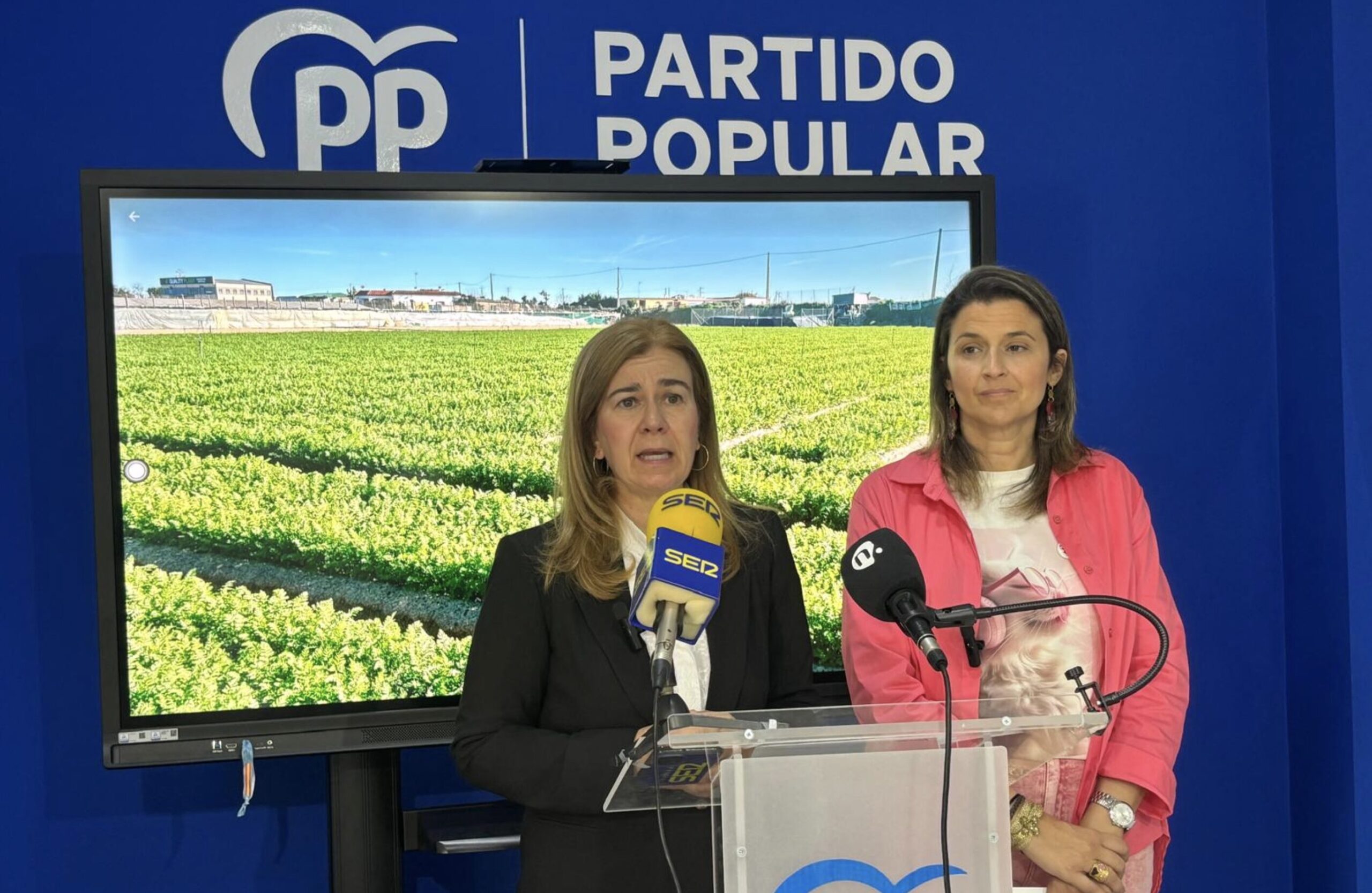 El PP defiende una Ley de Fiscalidad Agraria que permitiría un ahorro de 700 millones al sector primario