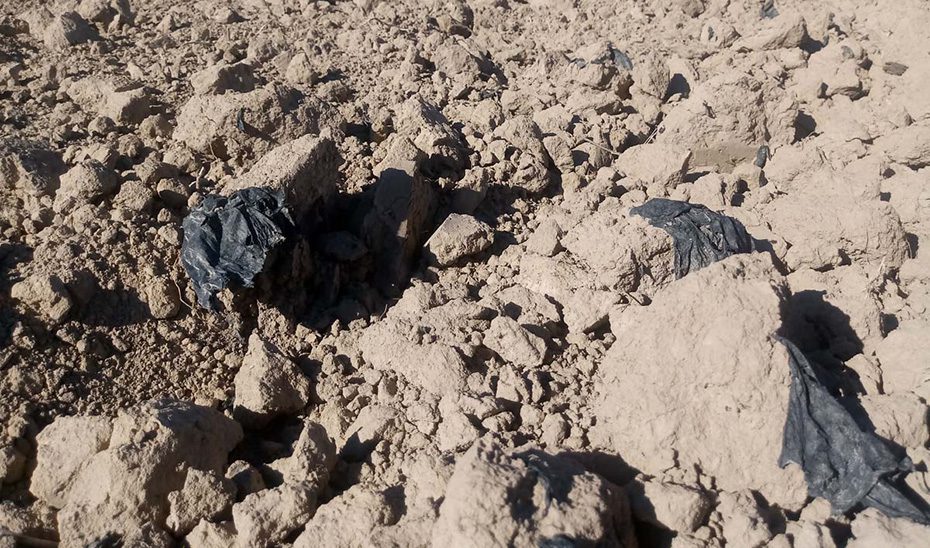 Analizan la relación de bacterias con restos plásticos agrícolas para combatir su impacto en el campo