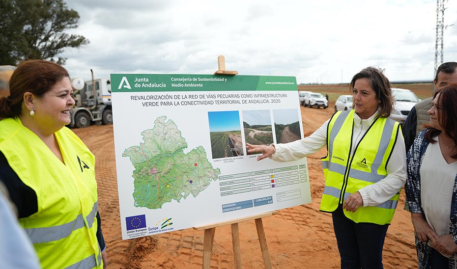 Sostenibilidad impulsa la conectividad ecológica y territorial con la mejora de la Cañada Real del Pajarero