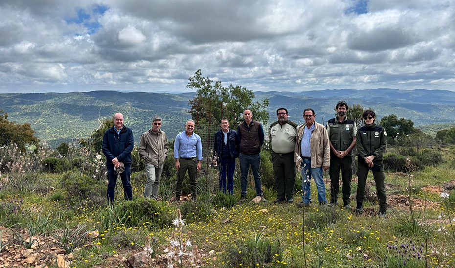 La Junta mejora la biodiversidad forestal en Villanueva del Rey, Espiel y Villaviciosa con una inversión de más de 787.000 euros