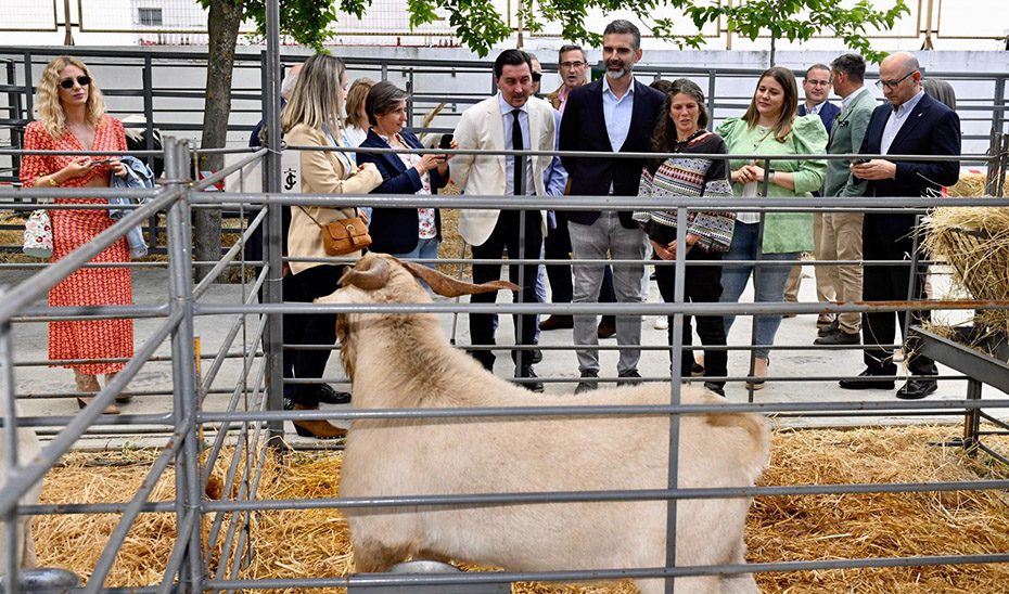1746797479312PachecoCarolina_Est.jpg La Junta apuesta en Jaén por un sector ganadero que crezca fuerte al amparo de la nueva PAC