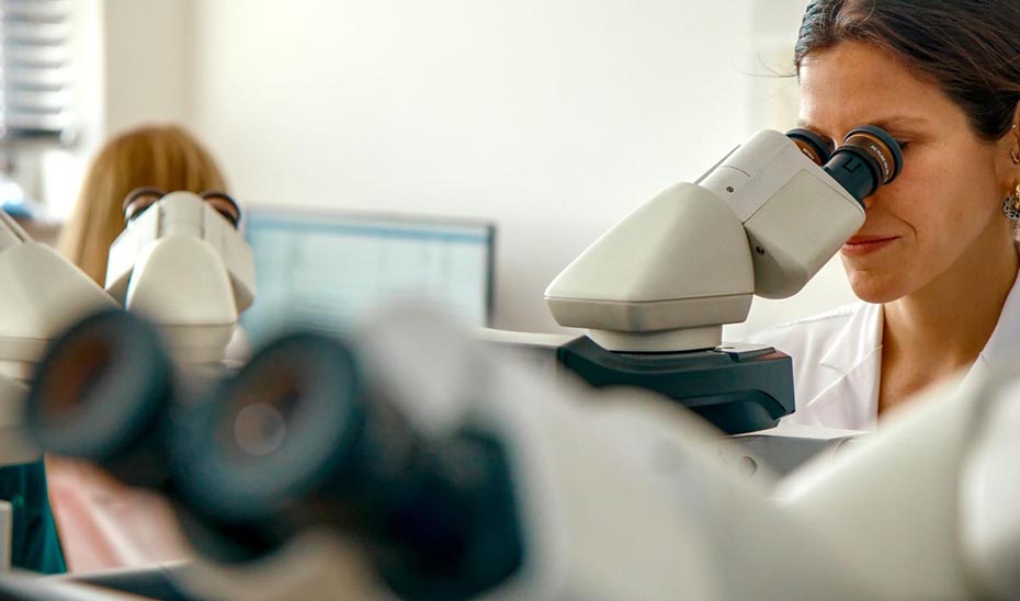 Seis centros y unidades de investigación, acreditados con los distintivos ‘Severo Ochoa’ y ‘María de Maeztu’