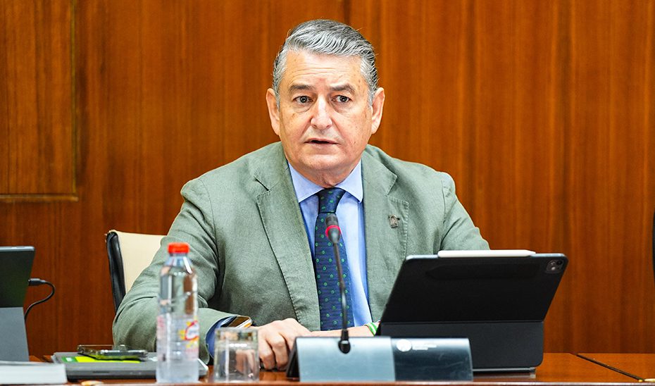 Antonio Sanz anuncia la elaboración de una nueva Ley de Simplificación Administrativa