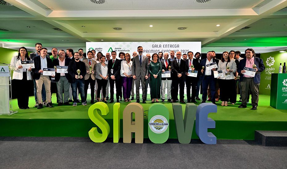 El 77% de los aceites de oliva virgen extra galardonados en Expoliva 2025 son andaluces