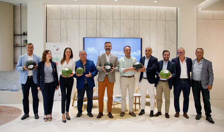 El I Plan Estratégico para las Frutas y Hortalizas de Invernadero alcanza ya una ejecución del 60%