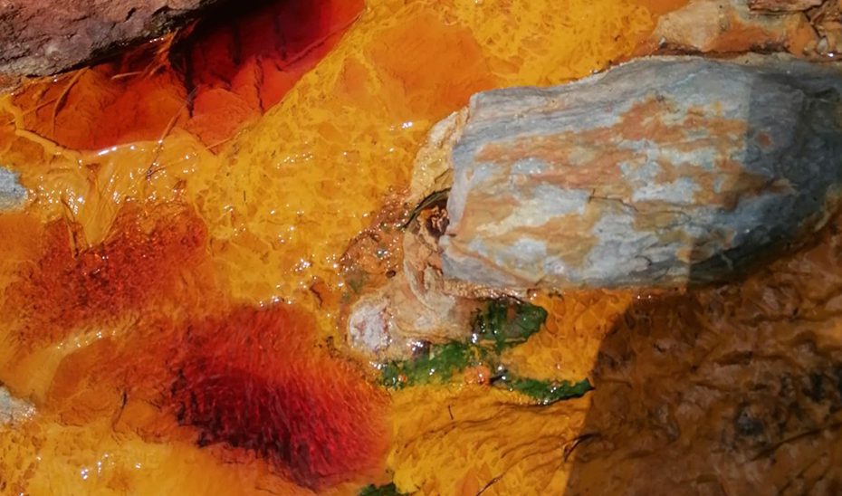 Demostrada la capacidad antiinflamatoria de una microalga autóctona del río Tinto