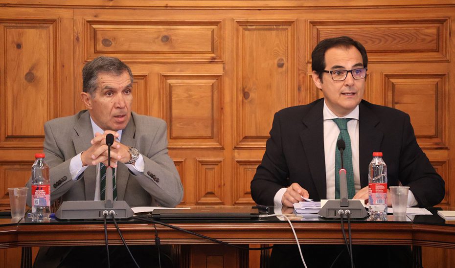 La Junta plantea dotar a Andalucía con, al menos, 22 jueces más de violencia de género