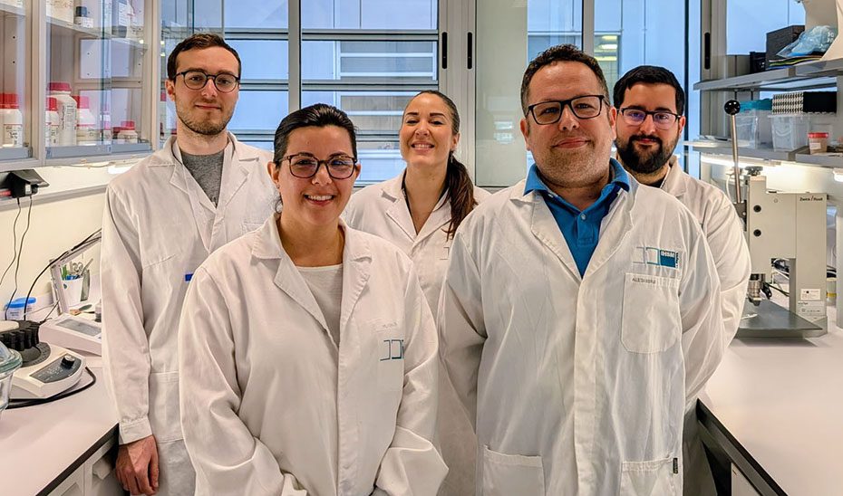 Investigadores andaluces desarrollan un bioplástico con celulosa y cera de abejas para elaborar envases alimentarios degradables