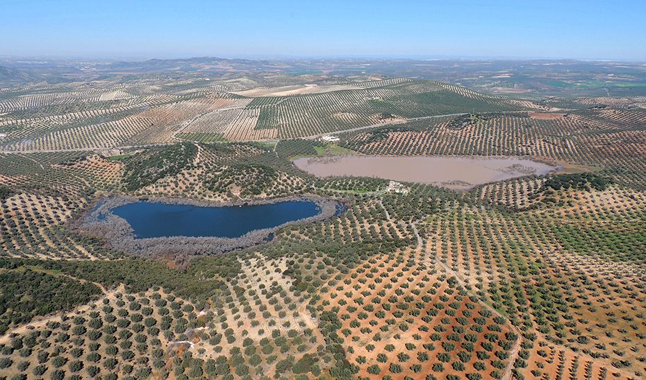 Las lagunas del sur de Córdoba renuevan su reconocimiento internacional como joyas naturales