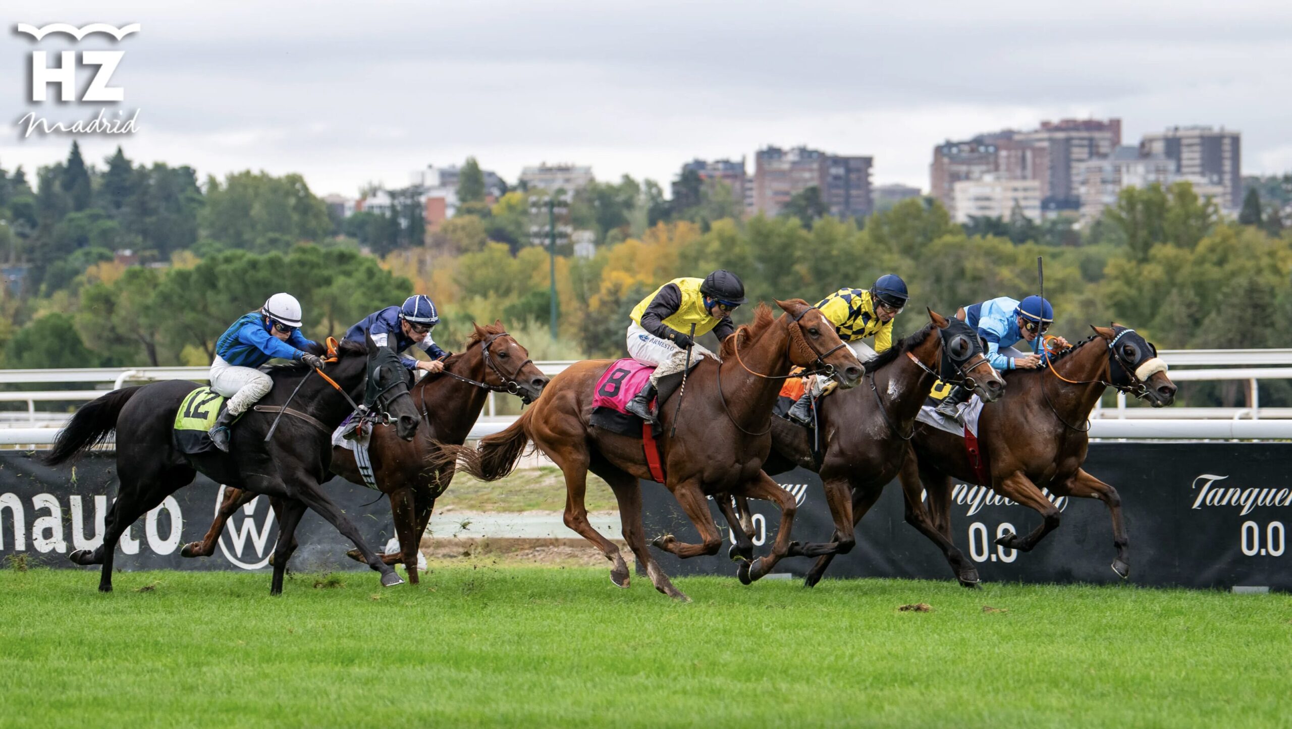 El Hipódromo de La Zarzuela acoge este domingo el Premio Real Sociedad de Carreras de Sanlúcar