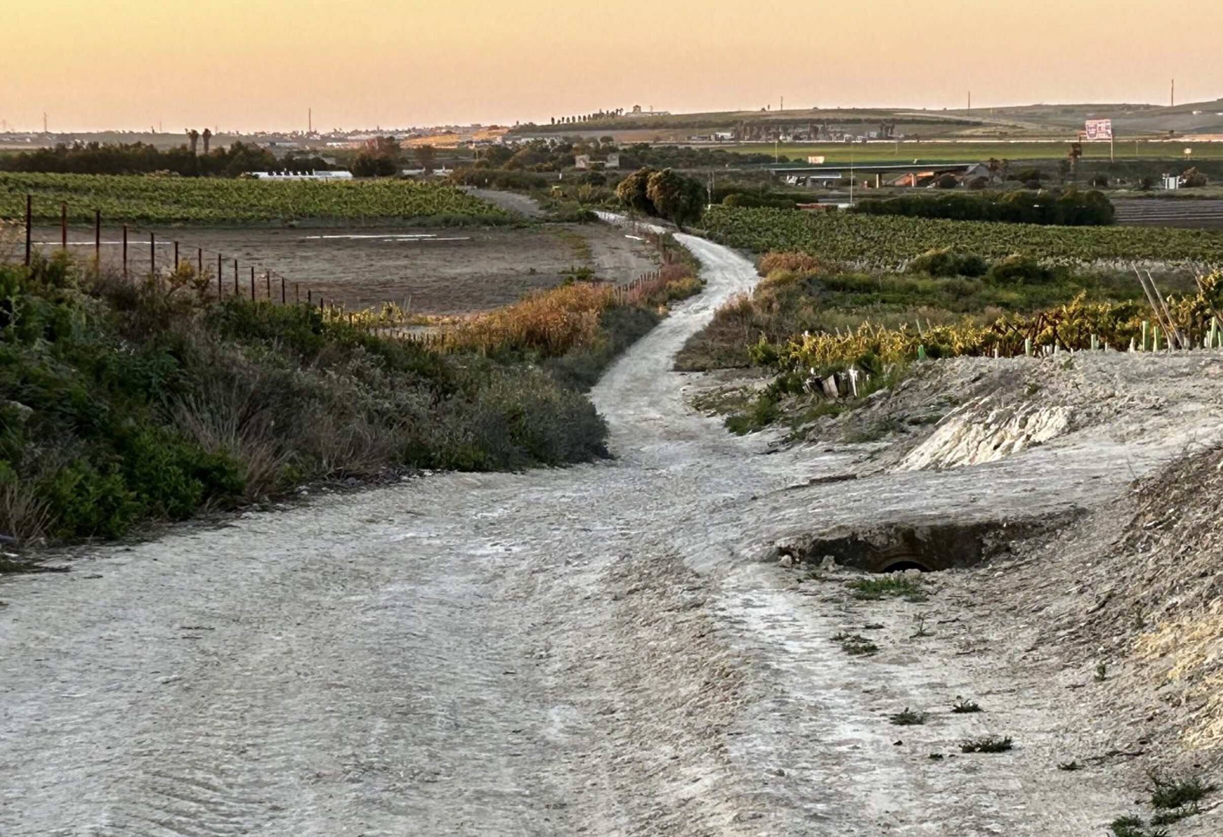 Más de 150.000€ para el arreglo del Camino Viejo de El Puerto de Santa María