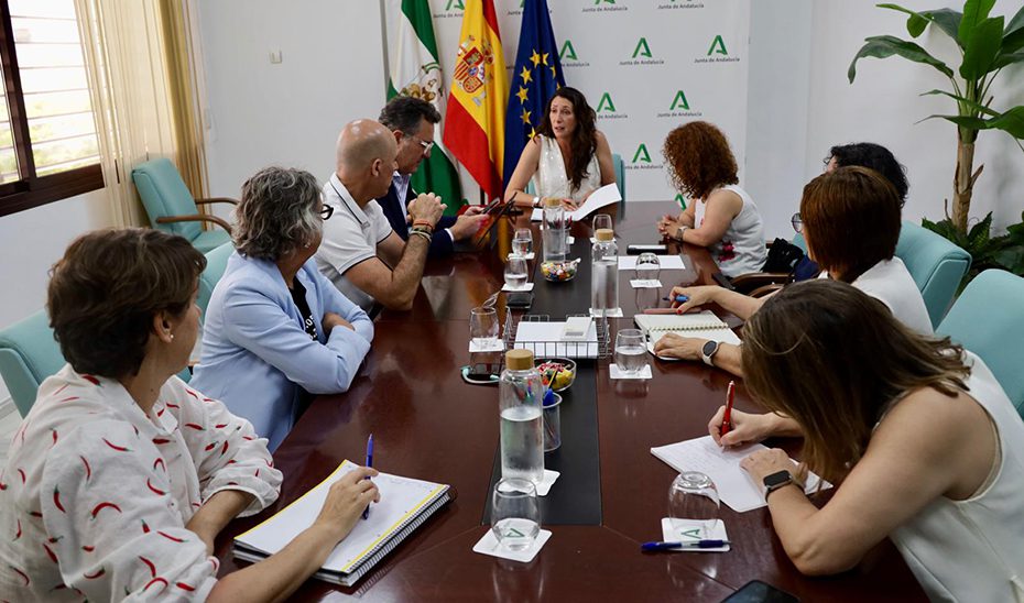 La Junta vuelve a subir la financiación para el sector de la dependencia de Andalucía