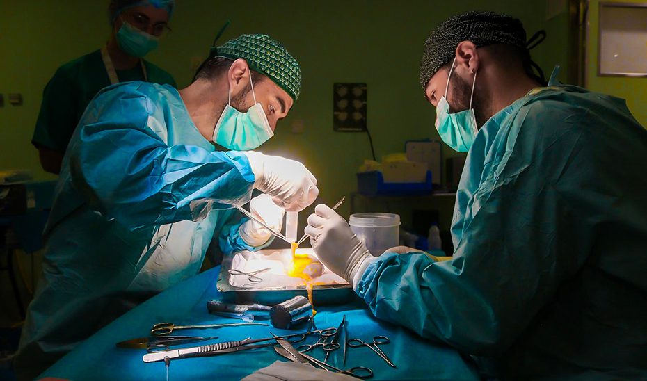 209 donantes de órganos y 193 de tejidos hacen posible 793 trasplantes en Andalucía durante 2025