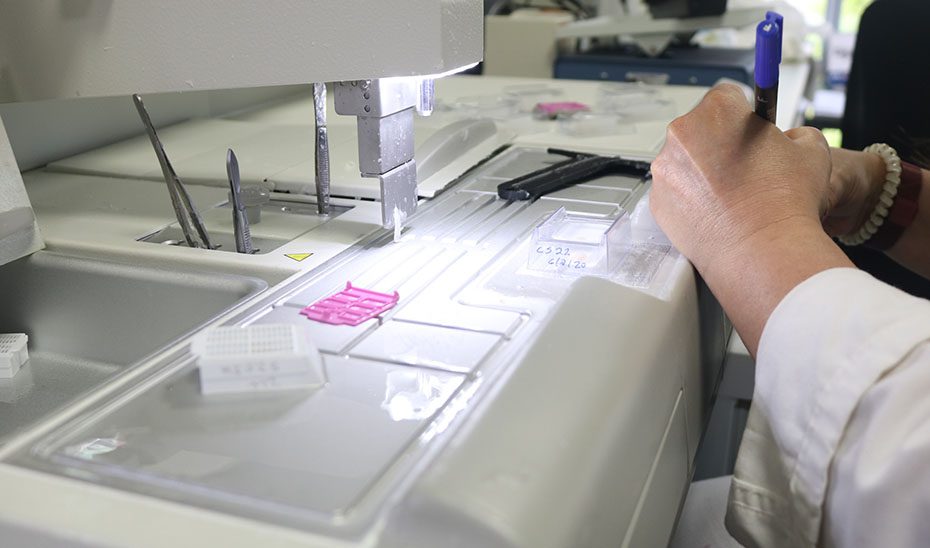 Salud destina 1,2 millones a investigaciones en Biomedicina, Ciencias de la Salud y de colaboración internacional