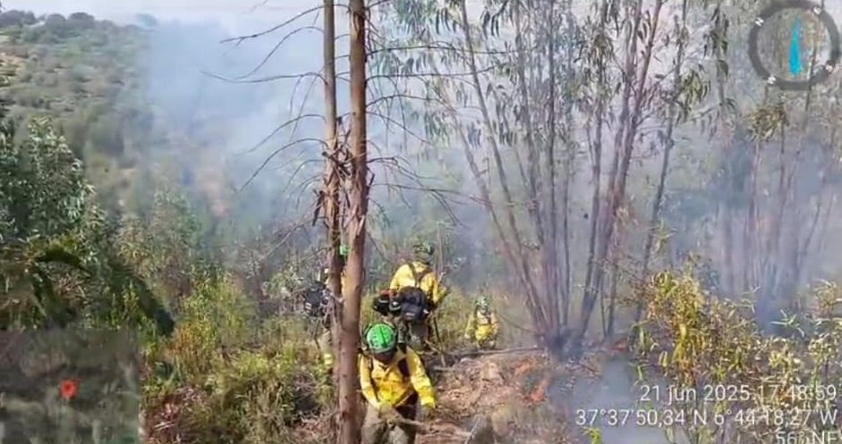 La Junta eleva el Plan Infoca a fase de emergencia por un incendio forestal en Zalamea la Real