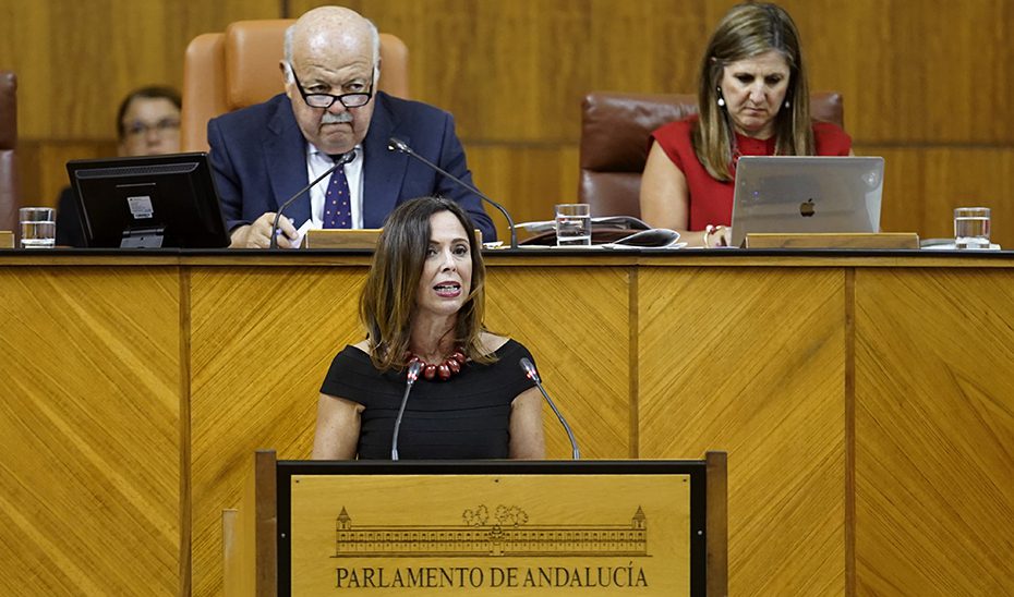 El Parlamento convalida el decreto-ley que suspende durante dos meses nuevas autorizaciones de VTC