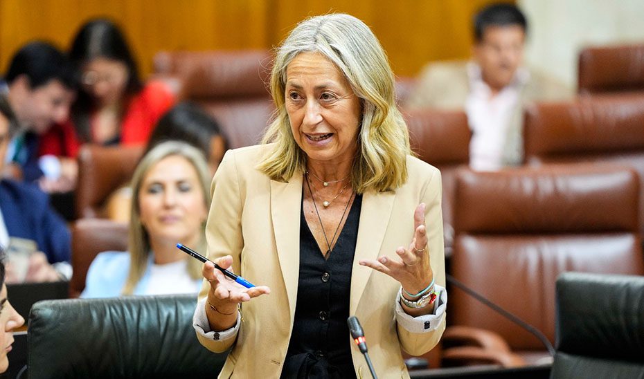 El nuevo modelo de atención a los pacientes crónicos supondrá un avance en personalizar la asistencia y adecuar recursos