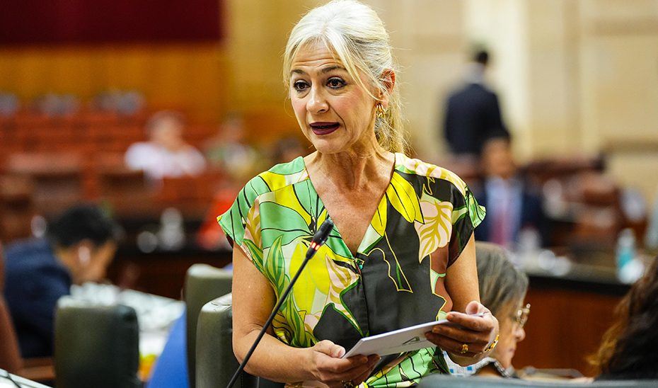 La Junta reclama de nuevo al Gobierno incentivos fiscales para el centenario de la Generación del 27