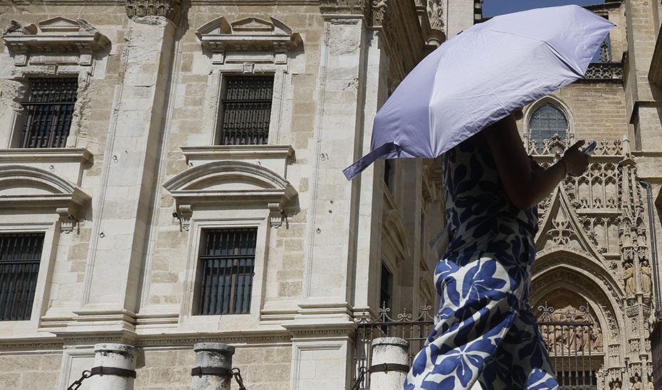 Salud recomienda evitar salir en las horas centrales del día durante las olas de calor