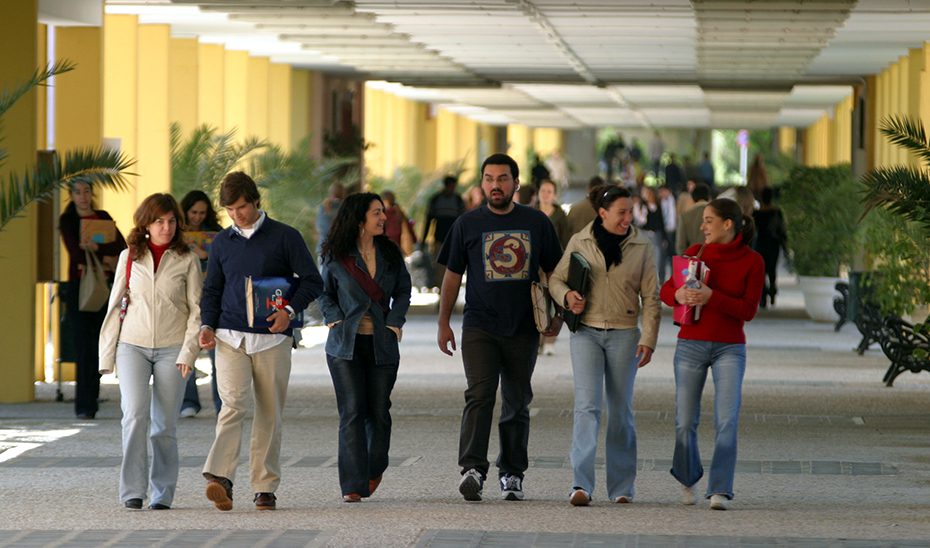 El Consejo Andaluz de Universidades refrenda 84 nuevos títulos de grado, máster y doctorado para el curso 25/26