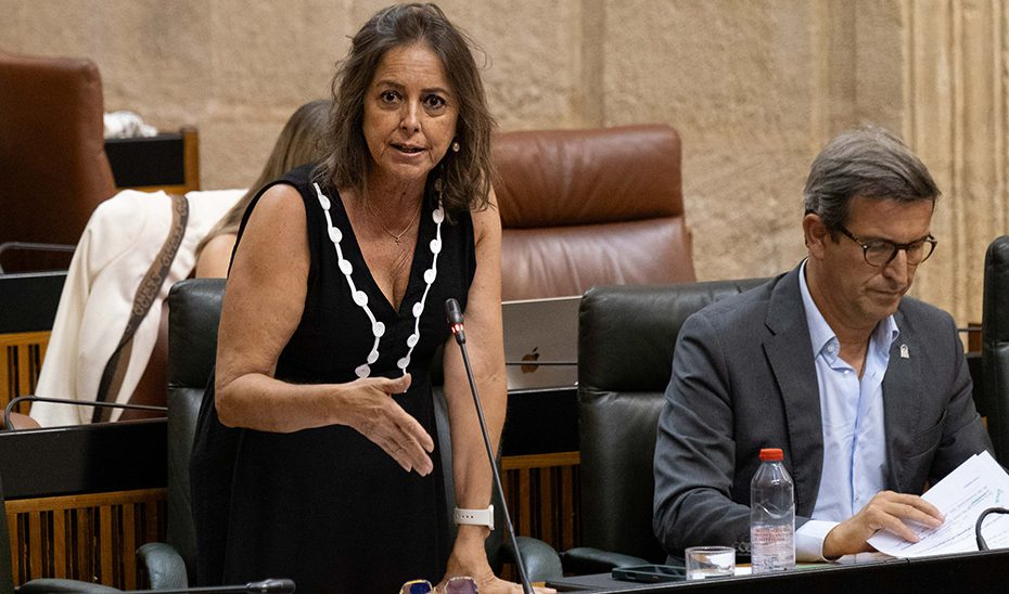 La Junta lanza las primeras ayudas para modernizar la maquinaria forestal en el medio rural andaluz